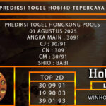PREDIKSI TOGEL HONGKONG POOLS 01 AGUSTUS 2025