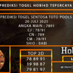 PREDIKSI TOGEL SENTOSA TOTO POOLS 20 JULI 2025
