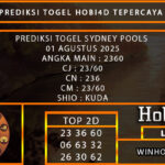 PREDIKSI TOGEL SYDNEY POOLS 01 AGUSTUS 2025