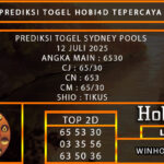 PREDIKSI TOGEL SYDNEY POOLS 12 JULI 2025