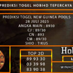 PREDIKSI TOGEL NEWGUINEA POOLS 28 JULI 2025