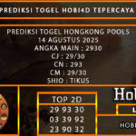 10 hk