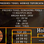 10 hk