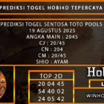 PREDIKSI TOGEL SENTOSATOTO POOLS 19 AGUSTUS 2025