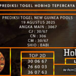 PREDIKSI TOGEL NEW GUINEA POOLS 19 AGUSTUS 2025