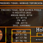 PREDIKSI TOGEL NEW GUINEA POOLS 16 AGUSTUS 2025