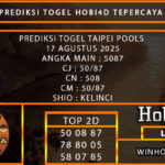 PREDIKSI TOGEL TAIPEI POOLS 17 AGUSTUS 2025