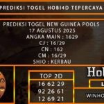 PREDIKSI TOGEL NEW GUINEA POOLS 17 AGUSTUS 2025