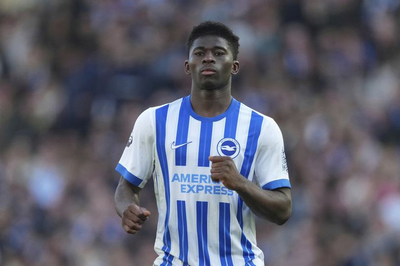 library_upload_21_2025_08_996x664_ap25069434412886_0b95804